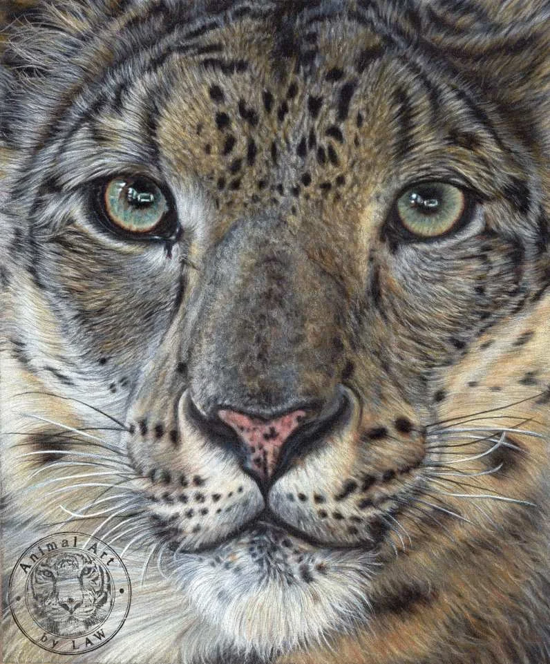 Snow Leopard.jpg