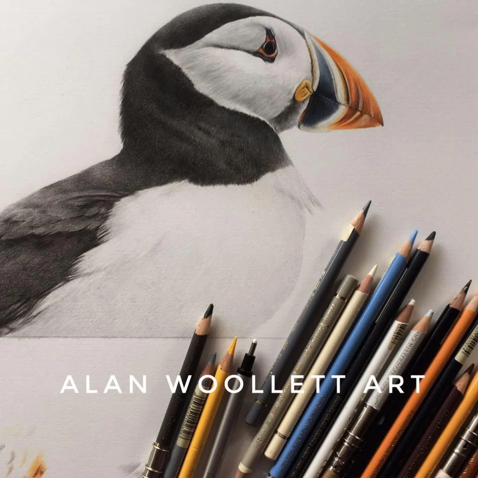 woollett puffin.jpg