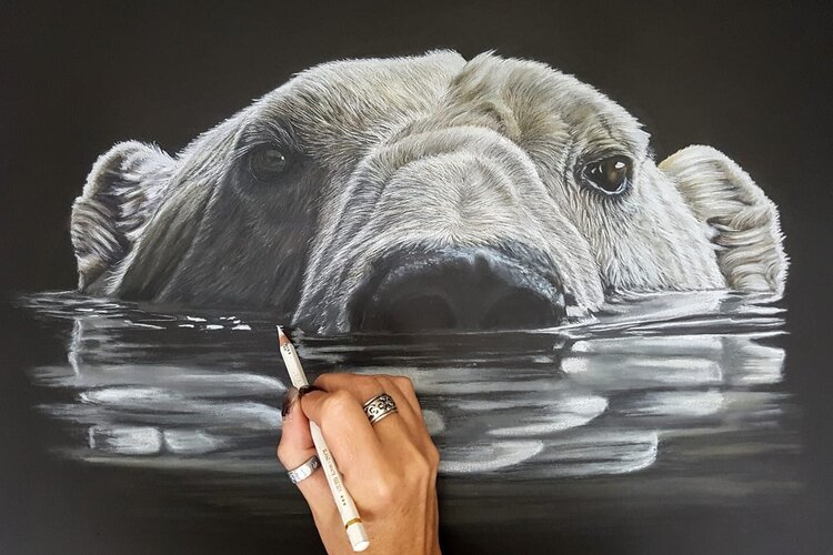 Animal Art by LAW