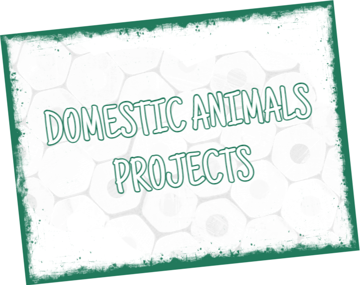 COLOUR PENCIL ART ON PATREON — Animal Art by LAW