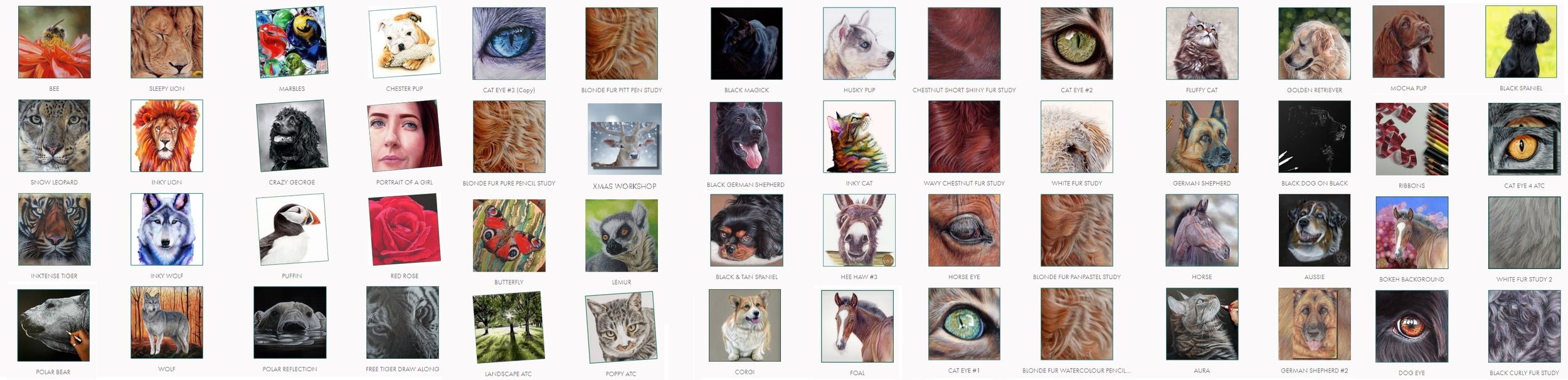 COLOUR PENCIL ART ON PATREON — Animal Art by LAW