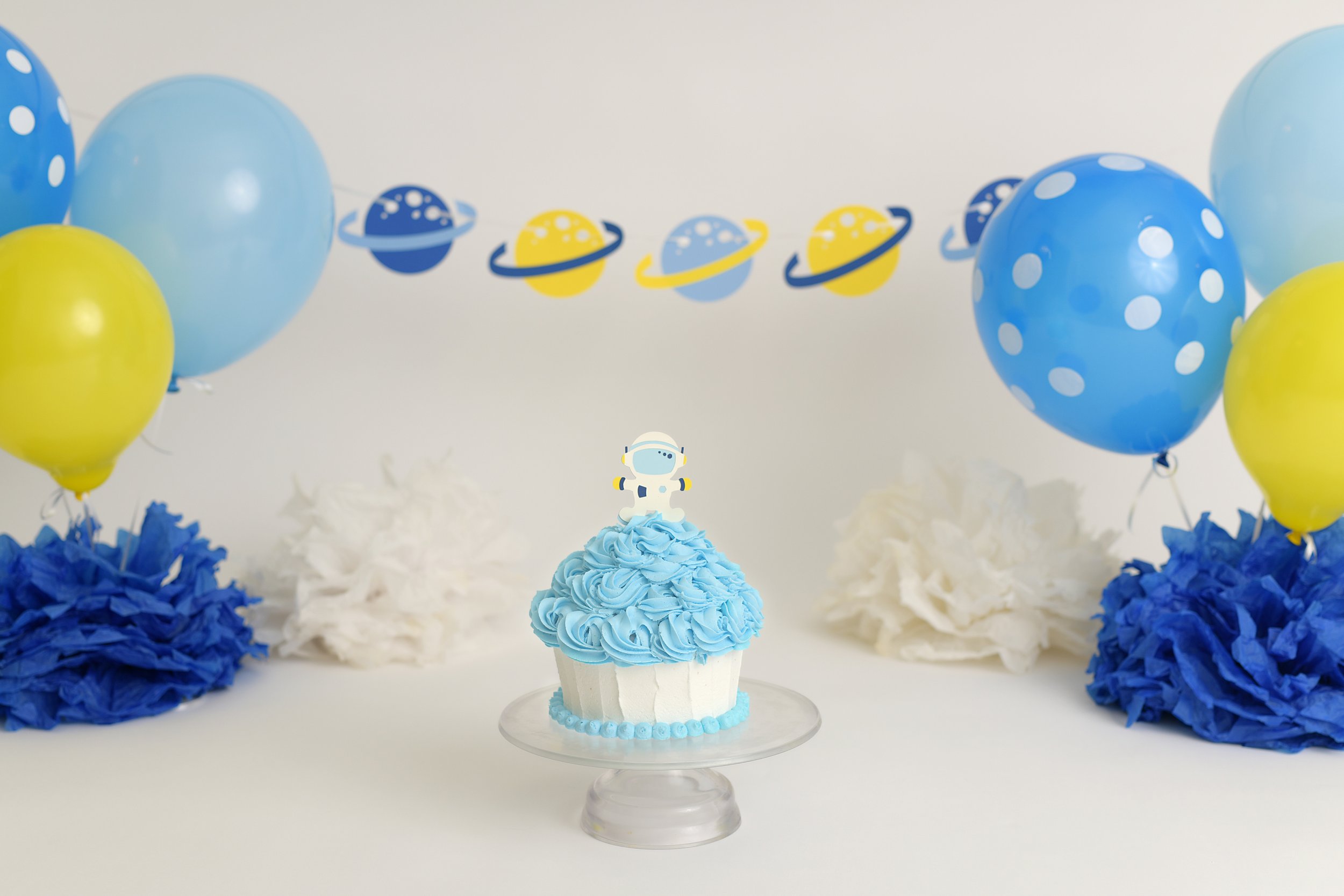 BLOG Vincent Cake-5228.jpg