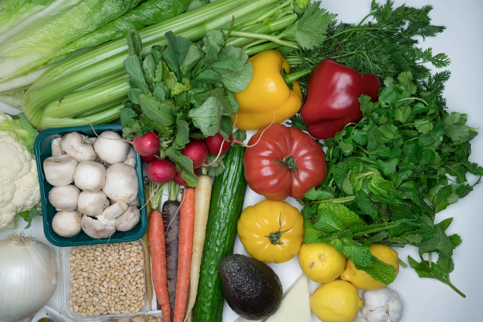 Healthy Eating with The Doctor's Dish