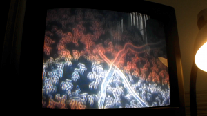 Two nematode larvae