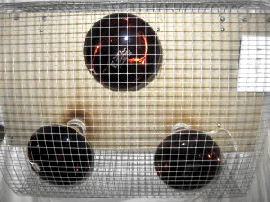 The sauna's three near infrared bulbs