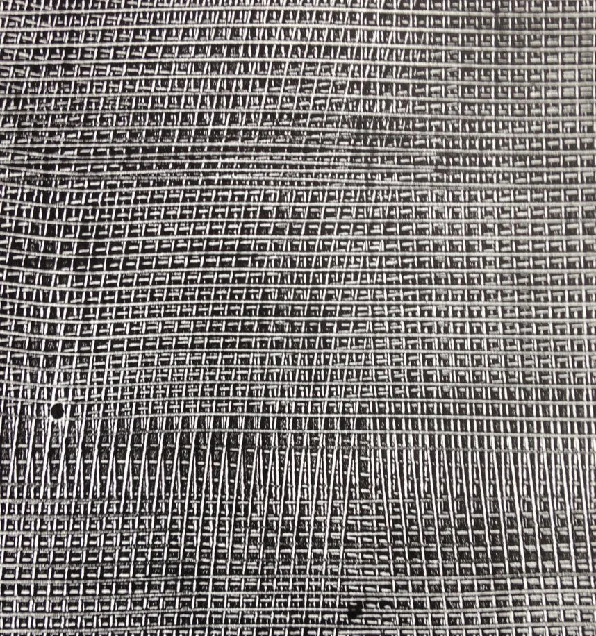 Close-up of one print from Strands of Memory