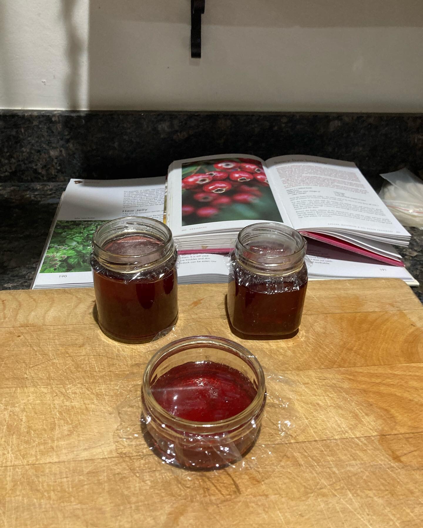 Who knew you could take the berries for a hawthorn tree (haws) and make jelly? It sets very hard and is very sweet and a bit floral, a bit like a hedgerow Turkish delight