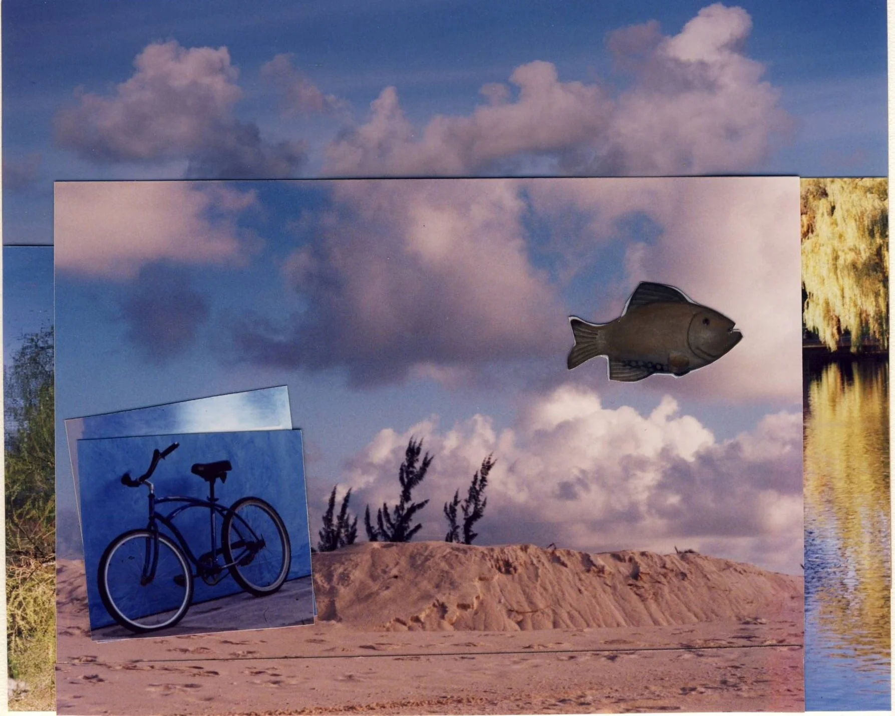 Fish and Bicycle III