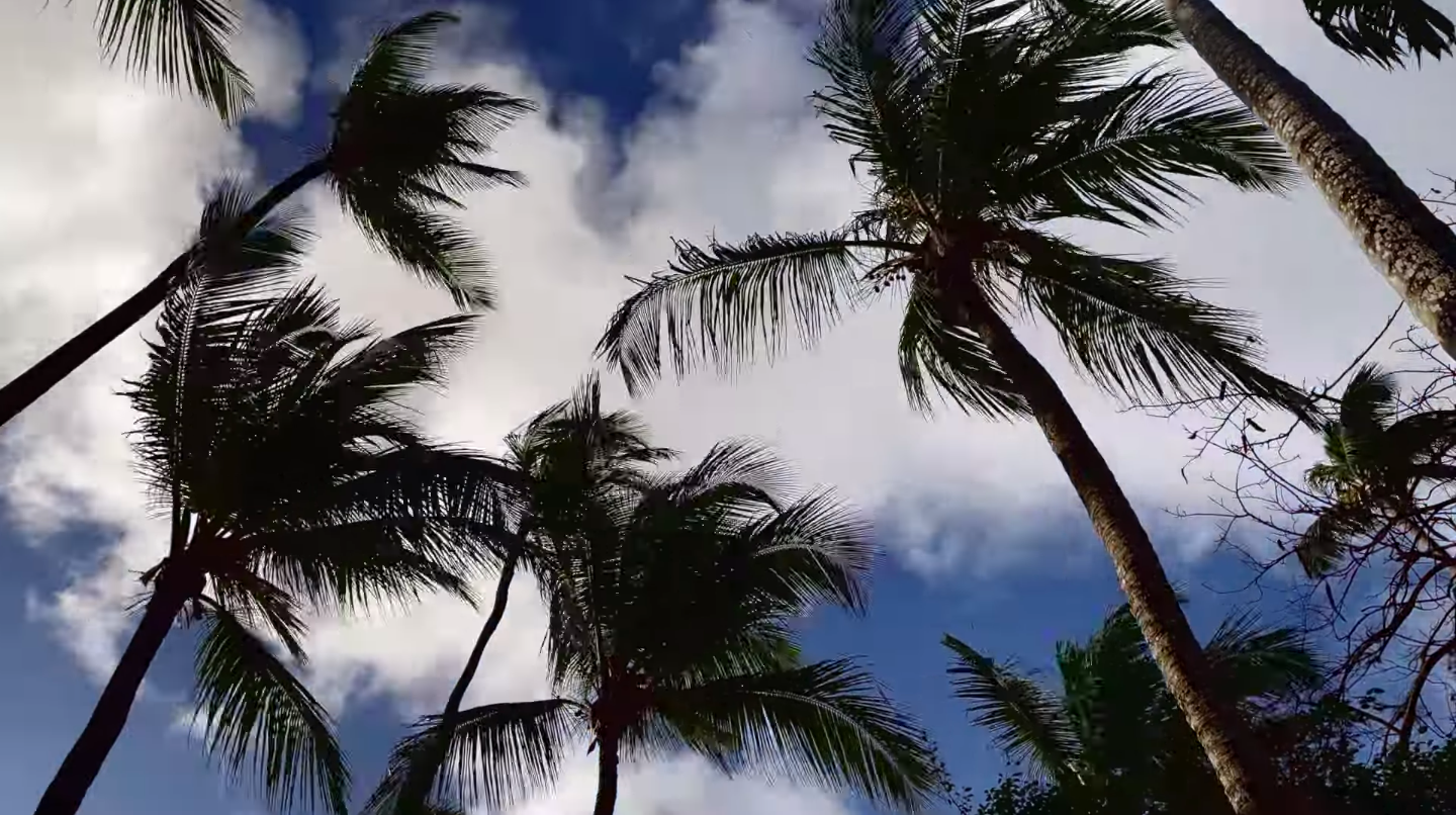 Screen Shot 2026-03-30 at 12.34.28.png