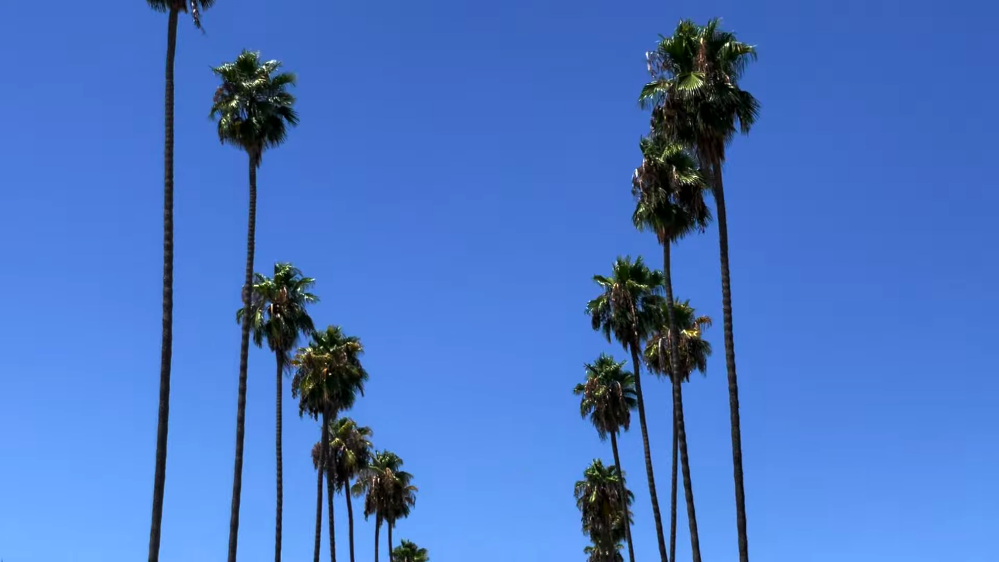 Screen Shot 2026-03-30 at 12.34.53.png