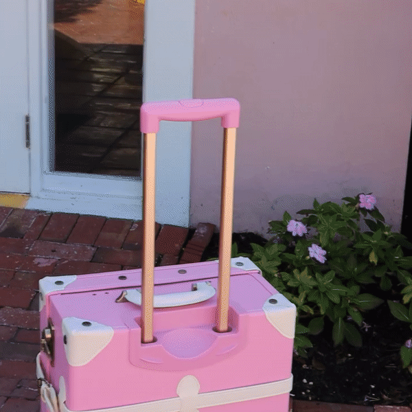 DD Bird Luggage Sleeve gif.gif