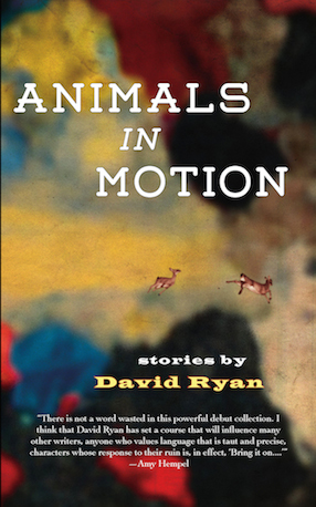 Animals in Motion