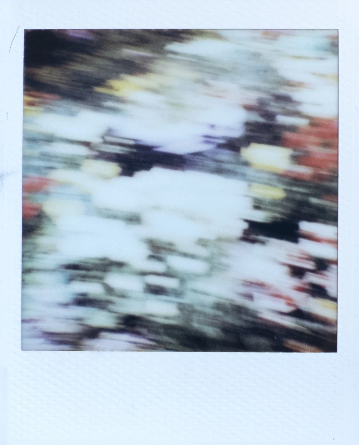 DSCF0391.jpg
