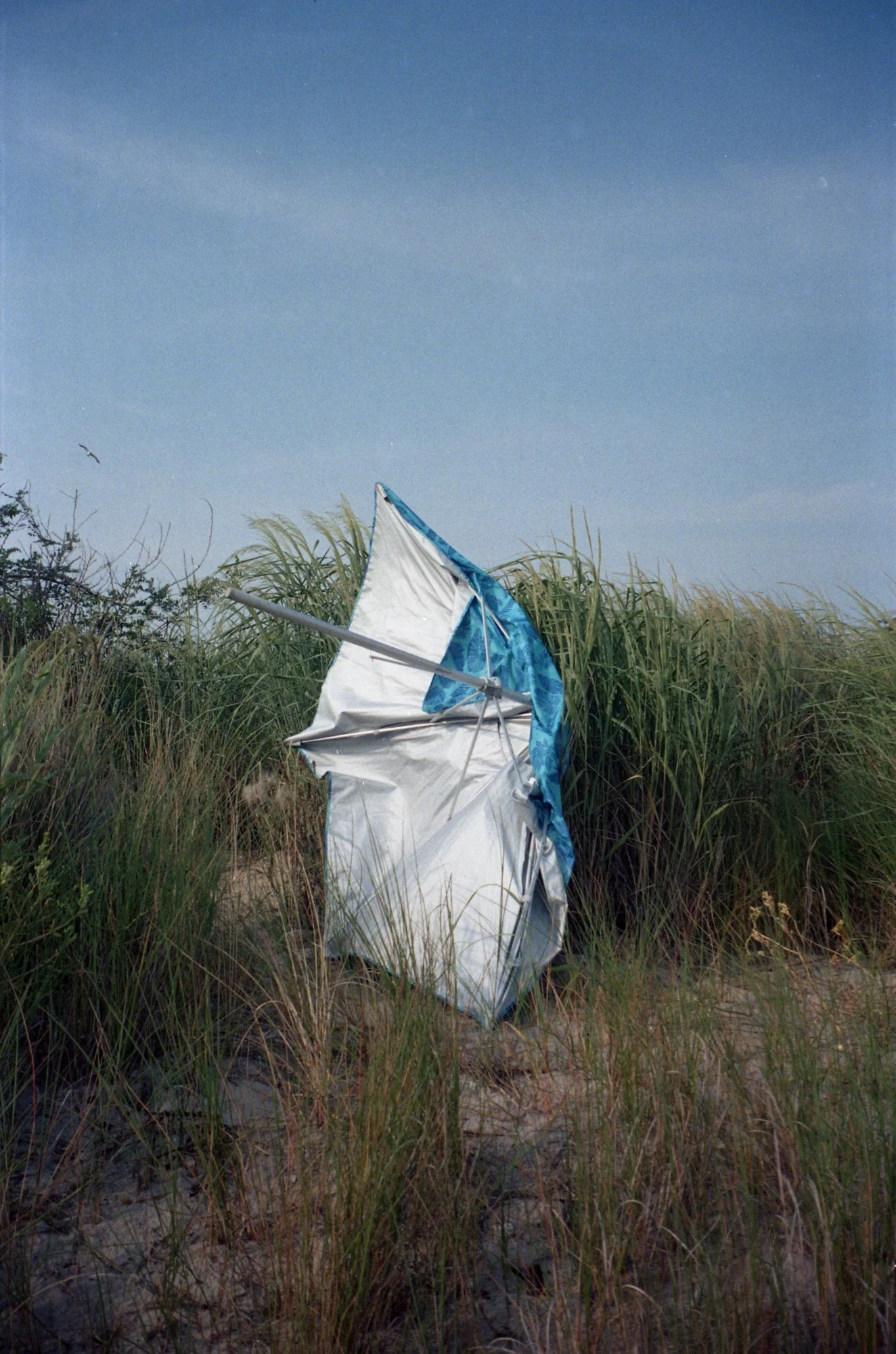 Olympus_Summer2025_07.jpg