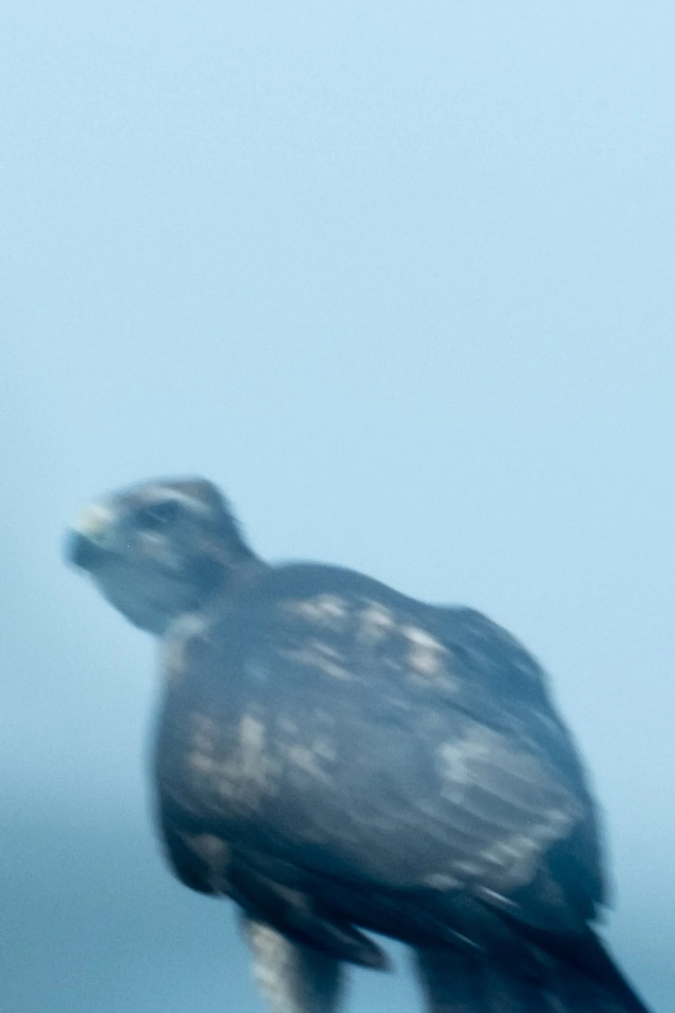 untitled-272.jpg