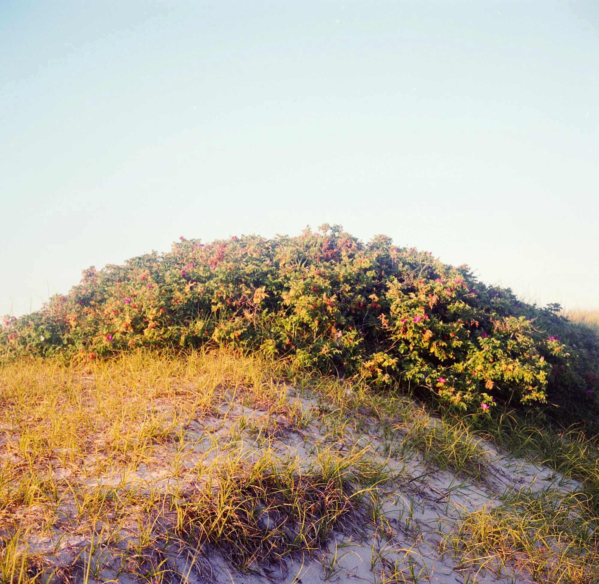 JerseyShore0019.jpg