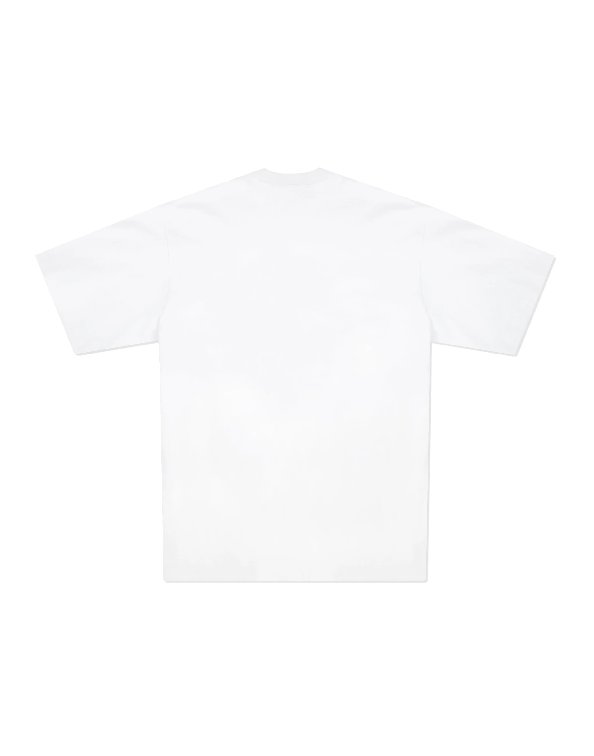 classic Tee-back.jpg