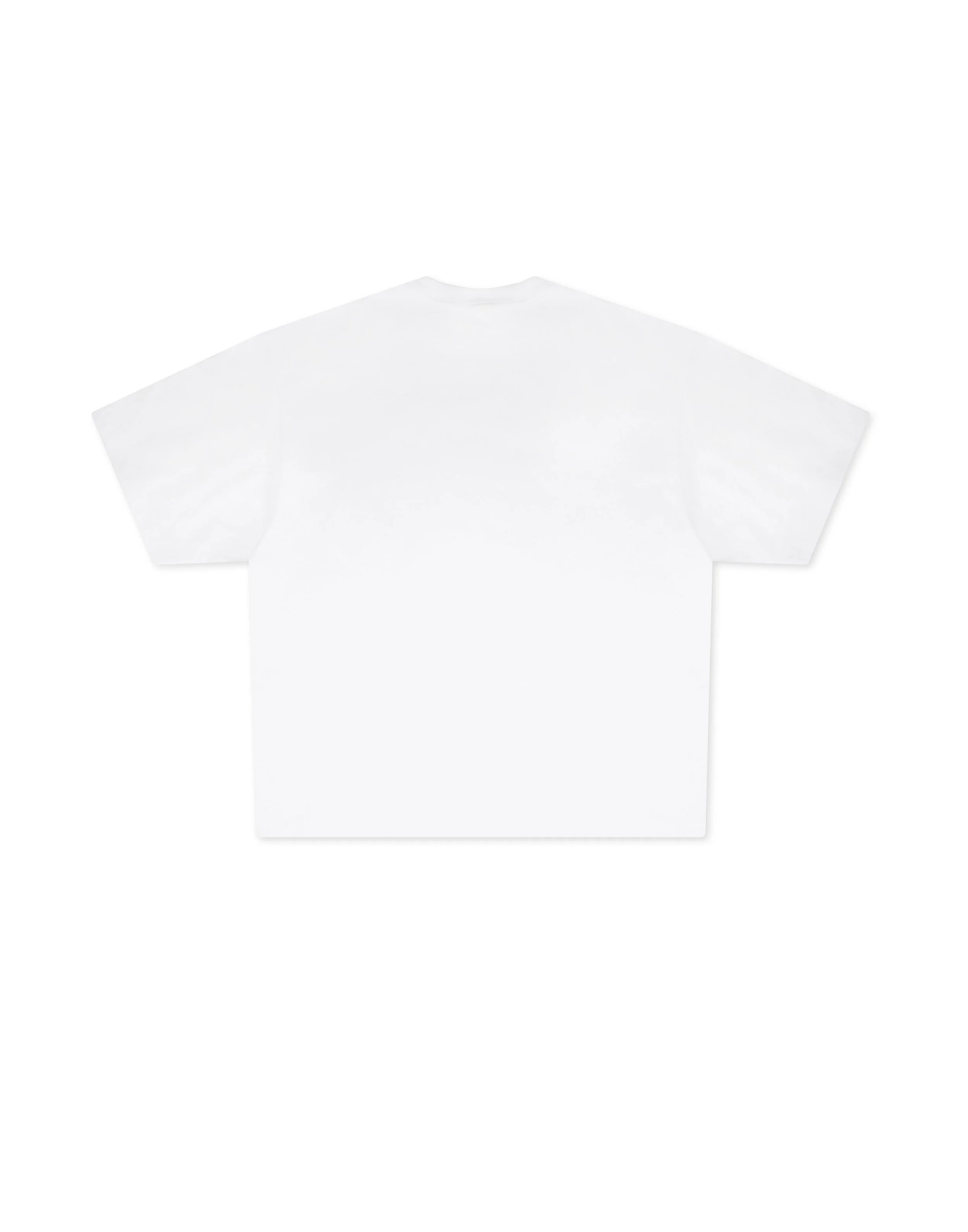 TSC TEE-back.jpg
