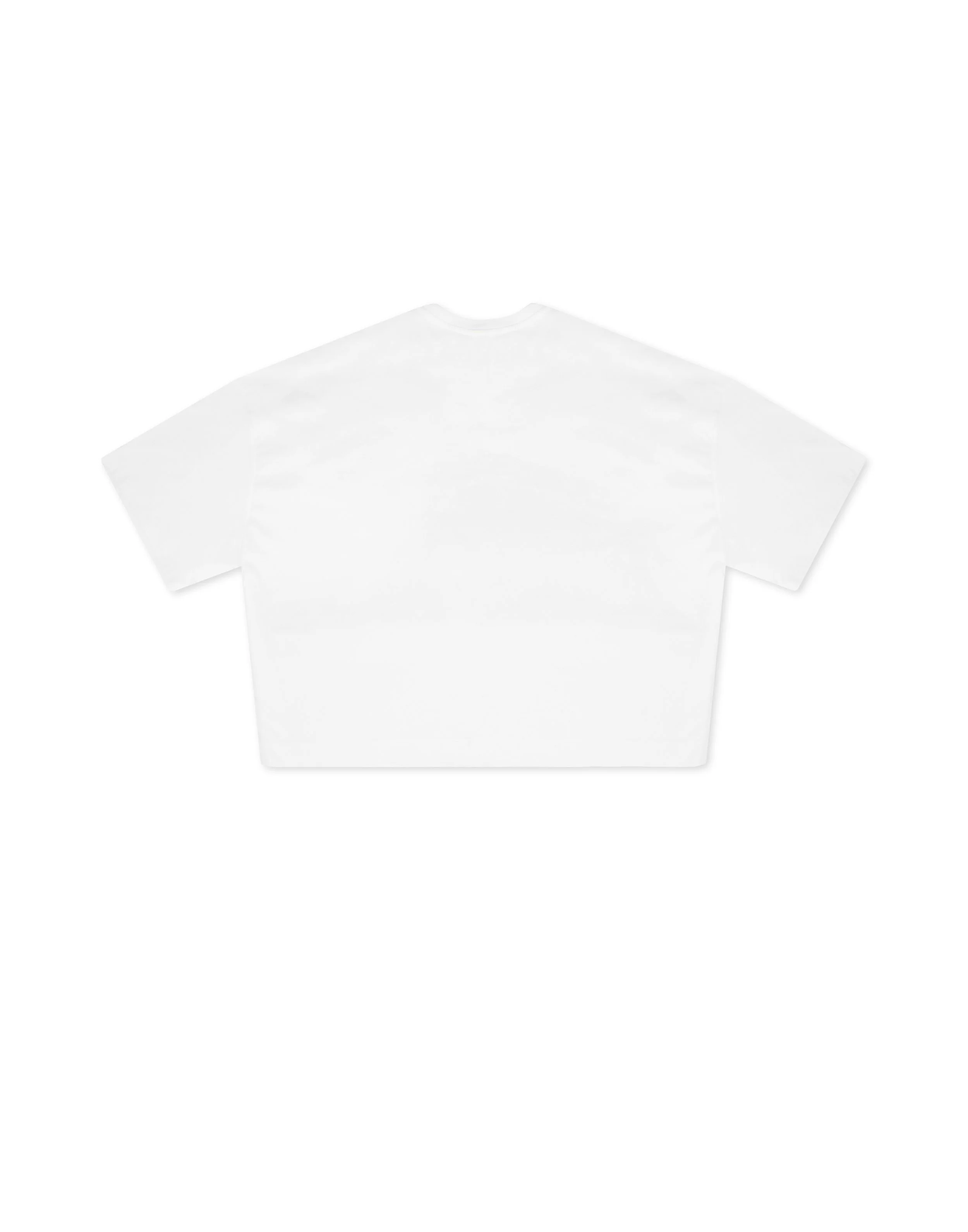 TSC F tee-back.jpg