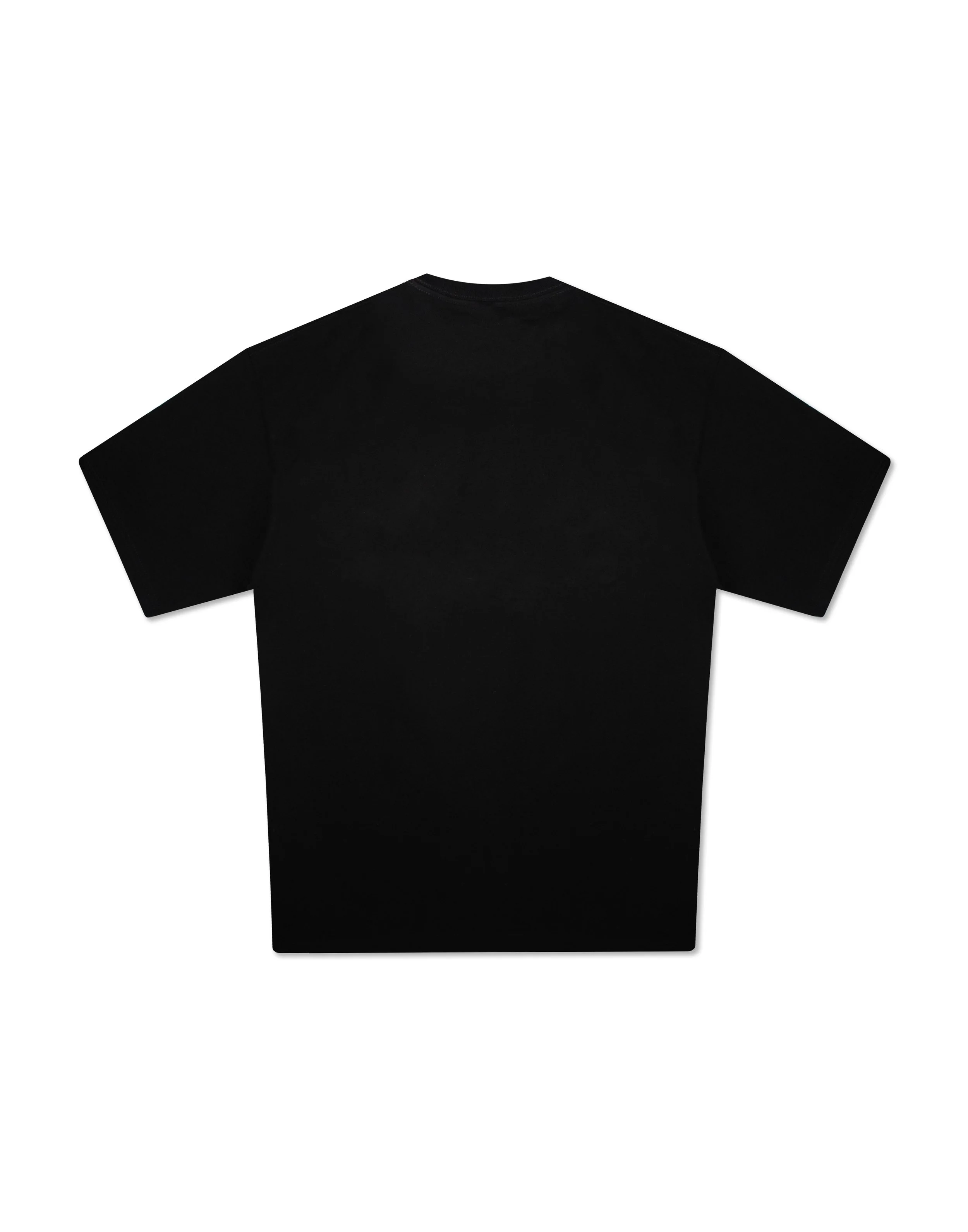 AM Tee-back.jpg
