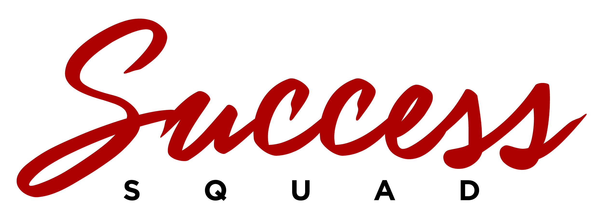 SSLogo_Final_Transparent.png