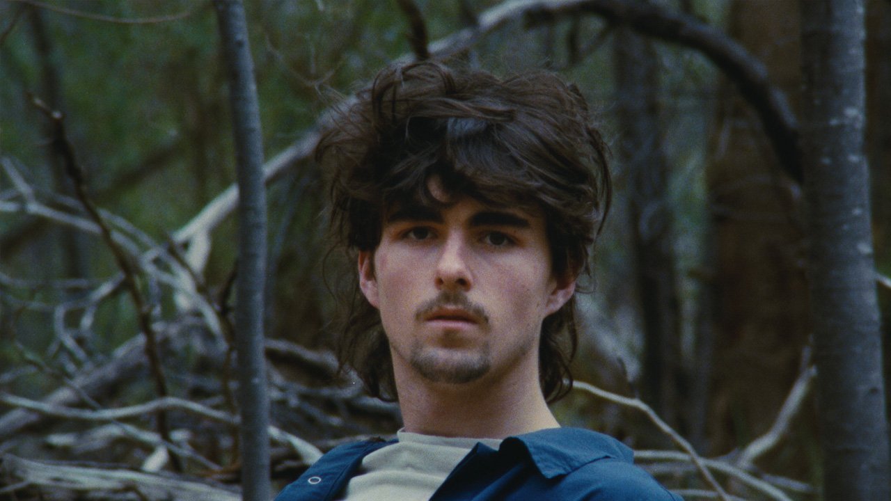 cuckoo roller 2.jpeg