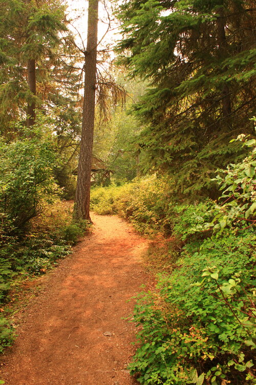 Trail from Waterfront