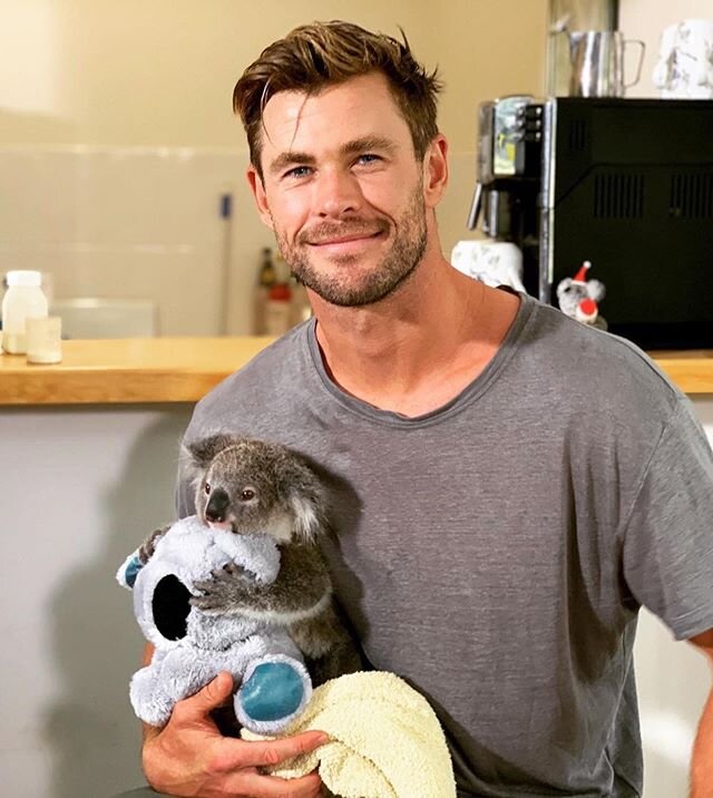 We have all survived one week of Quarantine and therefore, I think we ALL deserve this photo of @chrishemsworth holding a baby Koala, holding a bigger stuffed Koala as a reward for doing our part and #StayingIn