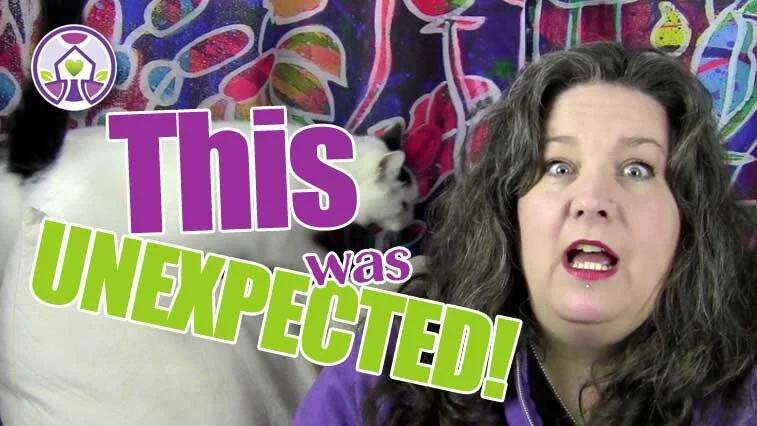 Loving and Inclusive