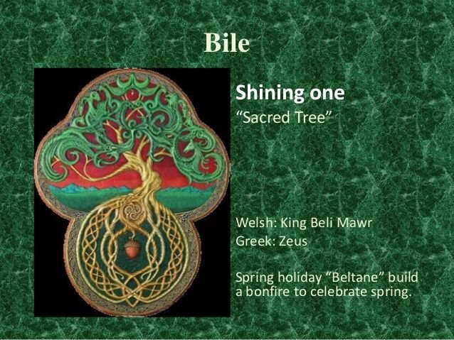 Bilé the World Tree