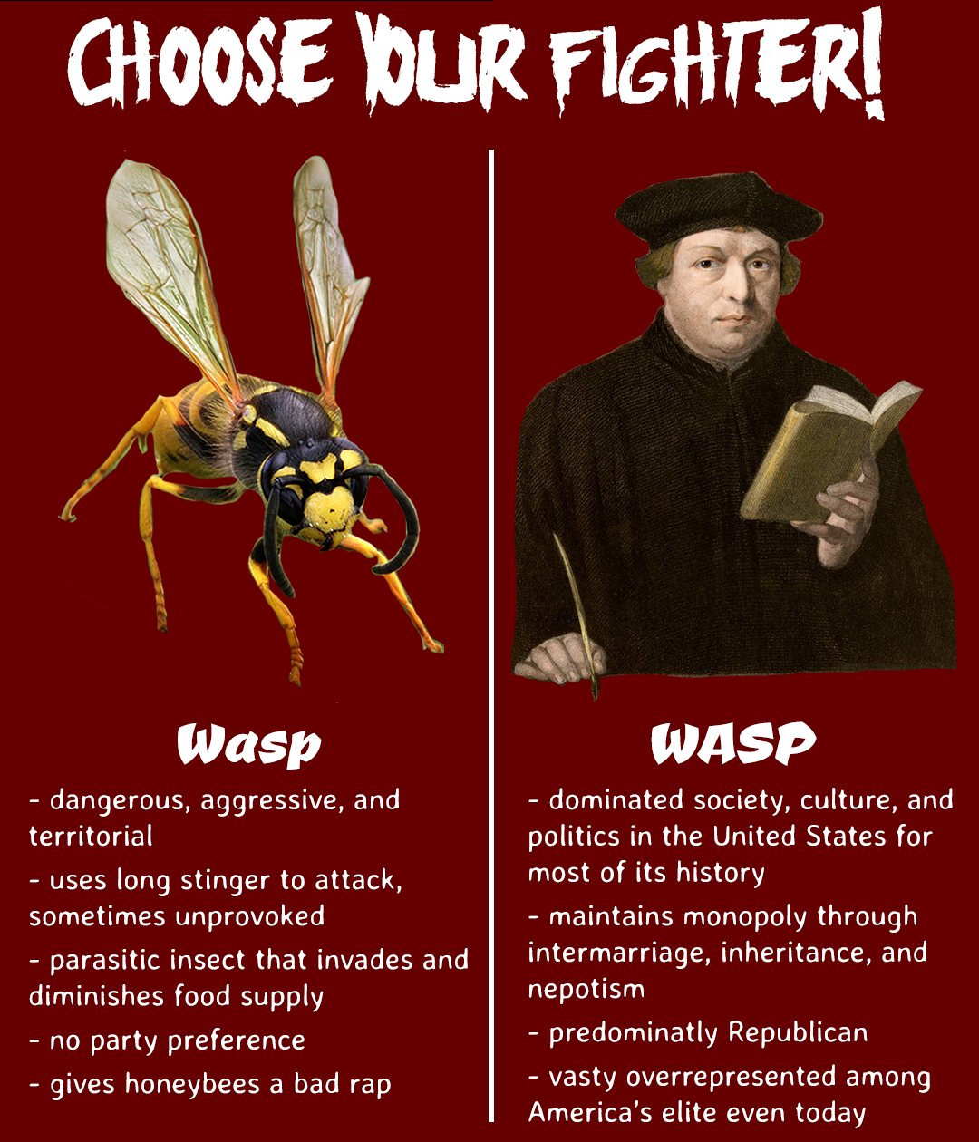 WASP.png