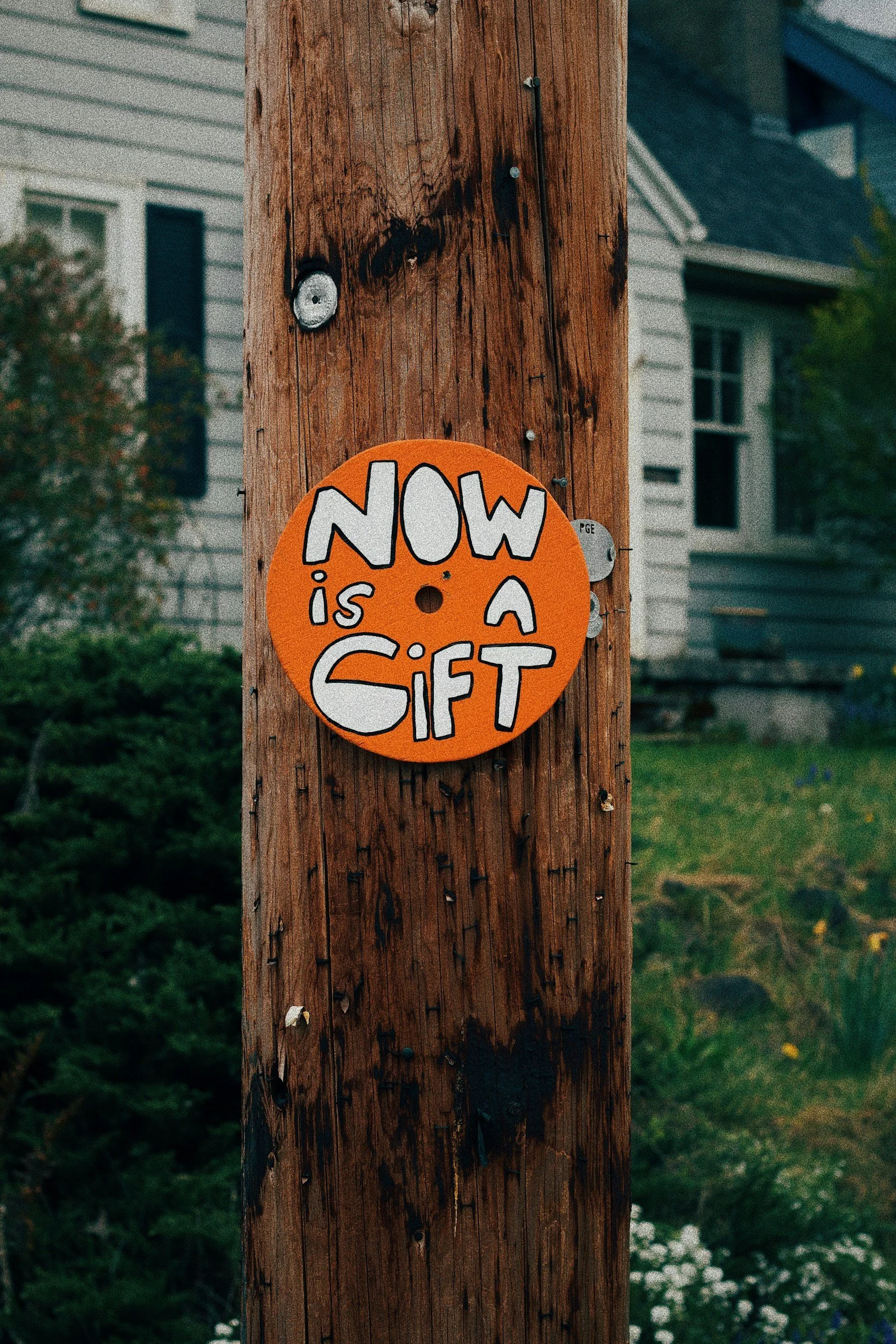 24. Sacral Gift: Pleasure & Desire