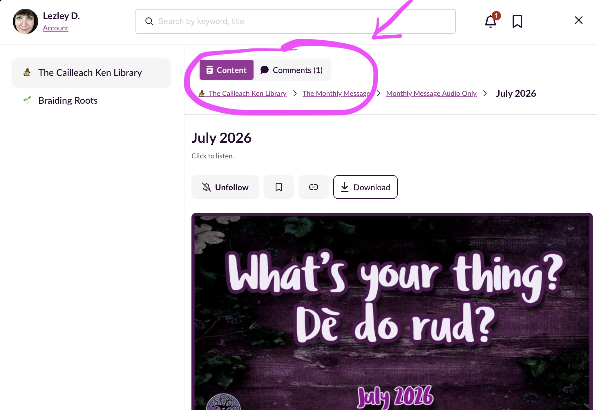 Comments Tab