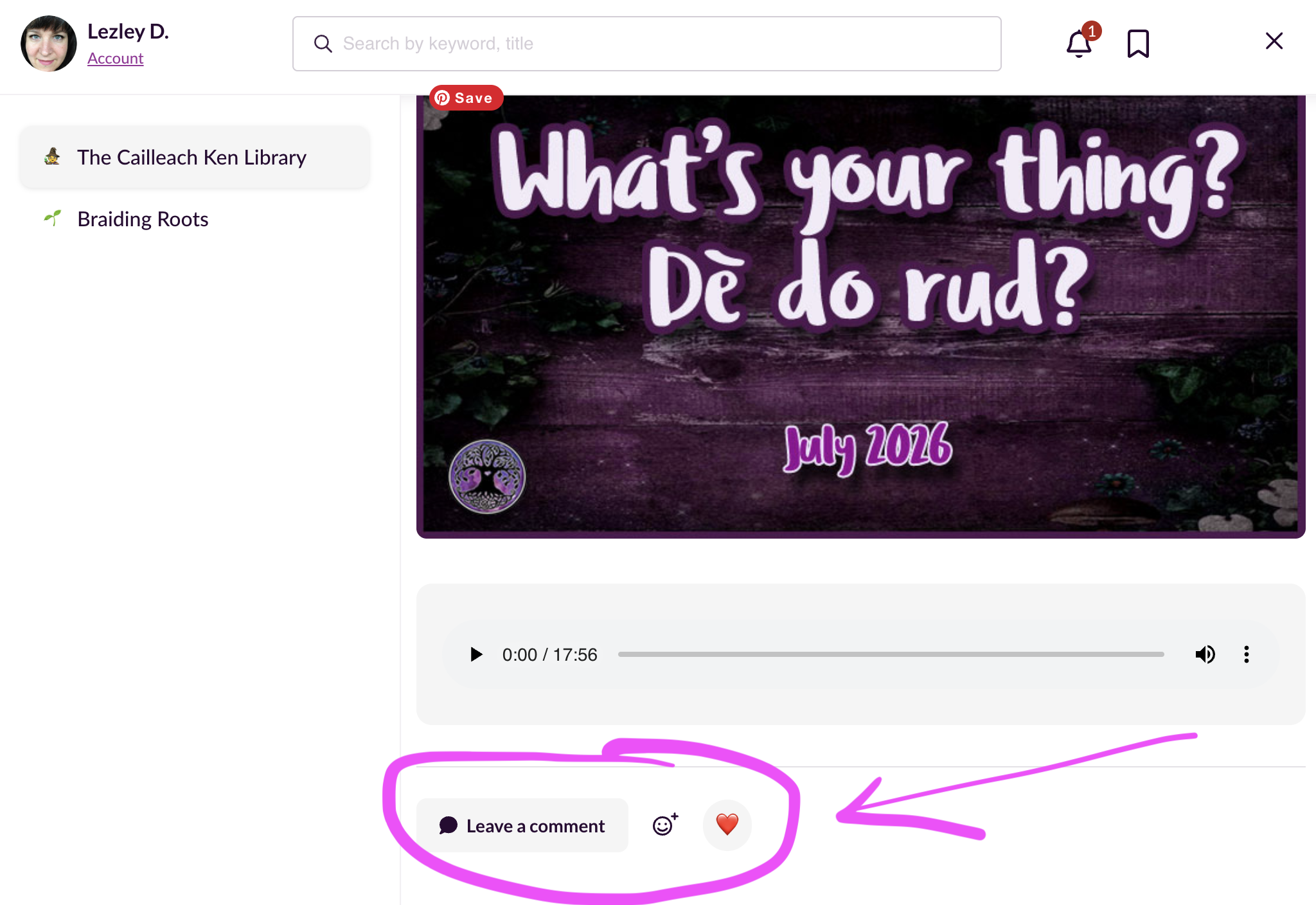 Leave a comment