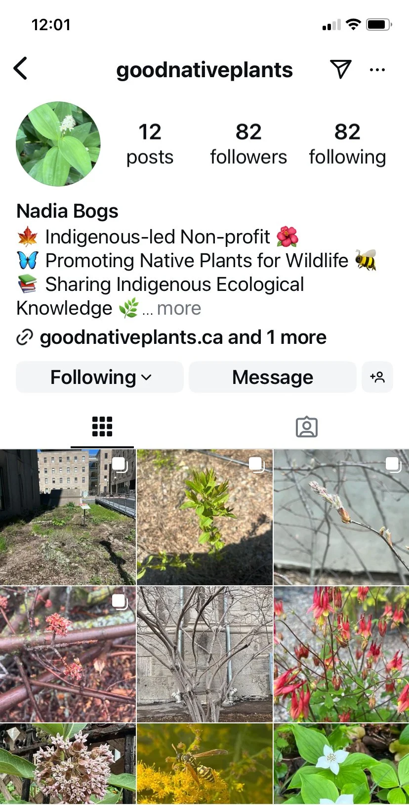 Good Native Plants