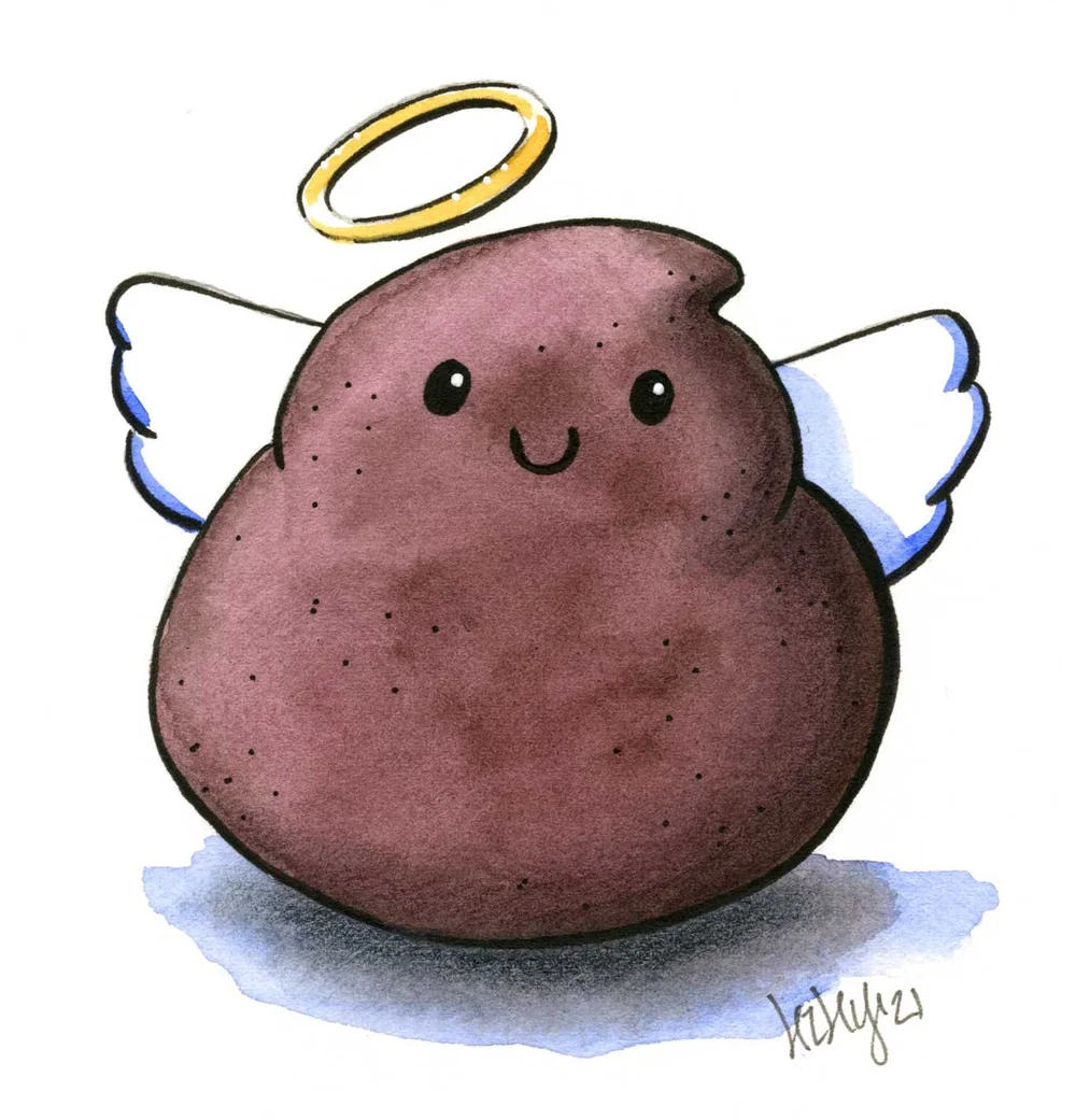 The Holy Sh!t Handbook