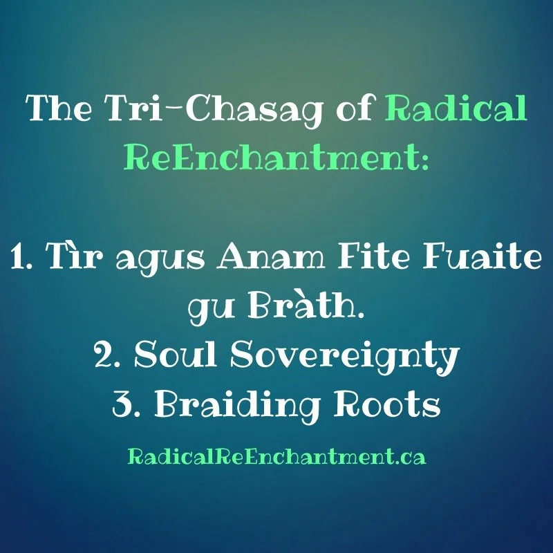 What is Radical ReEnchantment?