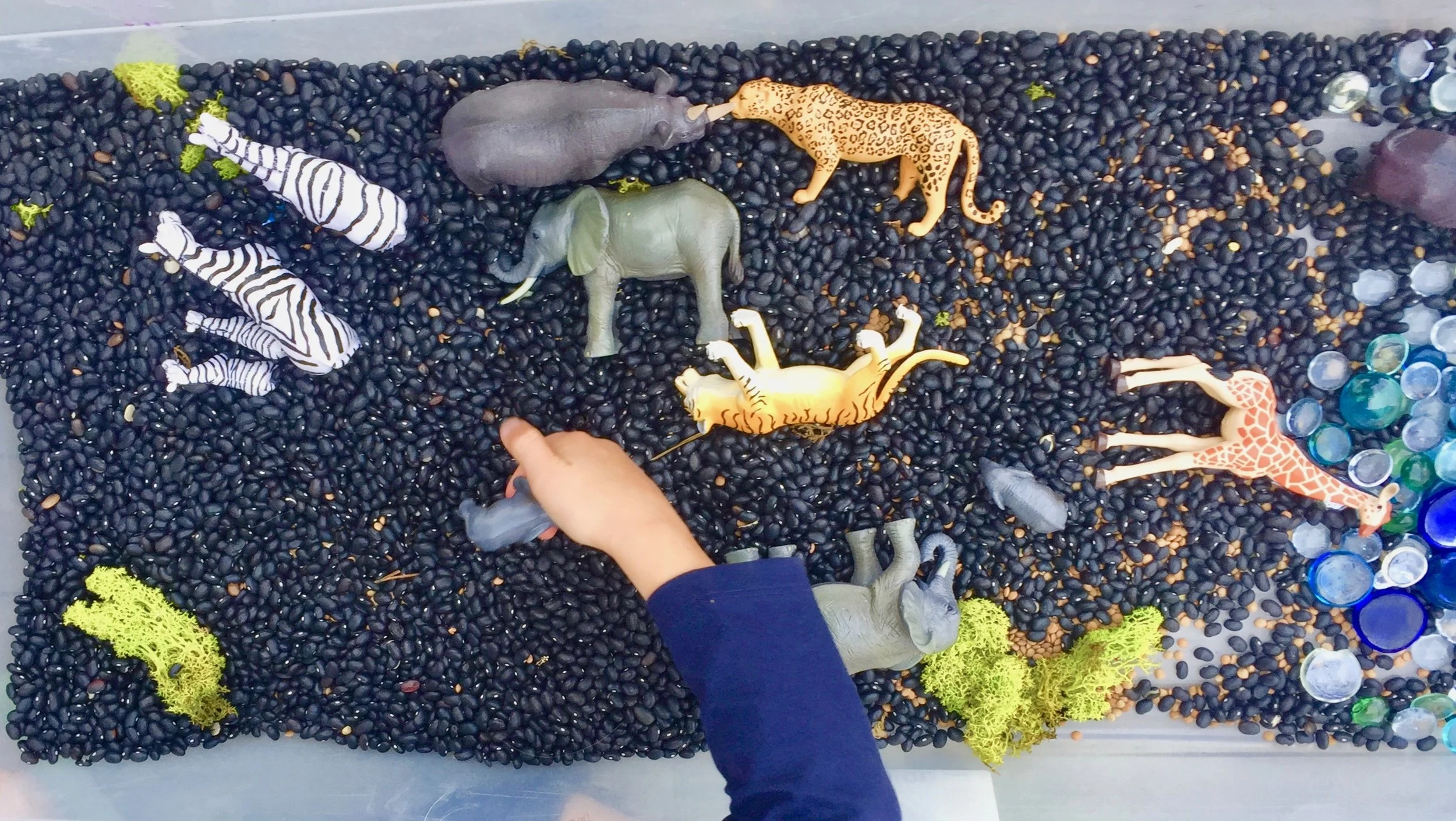 Sensory Bins- What are they good for, other than a mess?