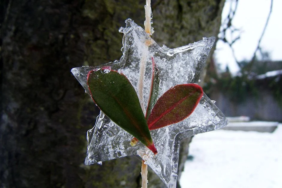 ice_mobile_940x627.jpg
