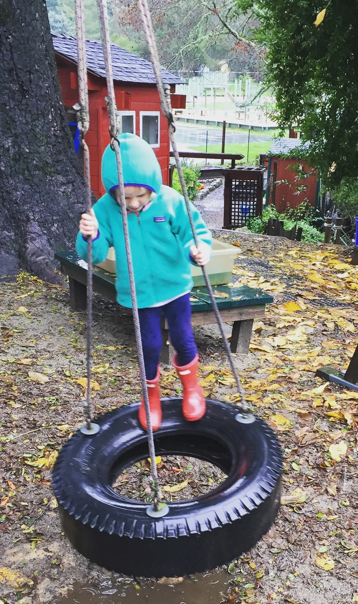 A tire swing may be something your child craves or avoids- forcing a child onto a swing can be VERY disregulating and send them into a state of flight- other children cannot get enough- always checking in with your child with any swing is critical