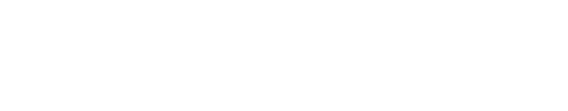Tribe Accelerator_Logo (White).png