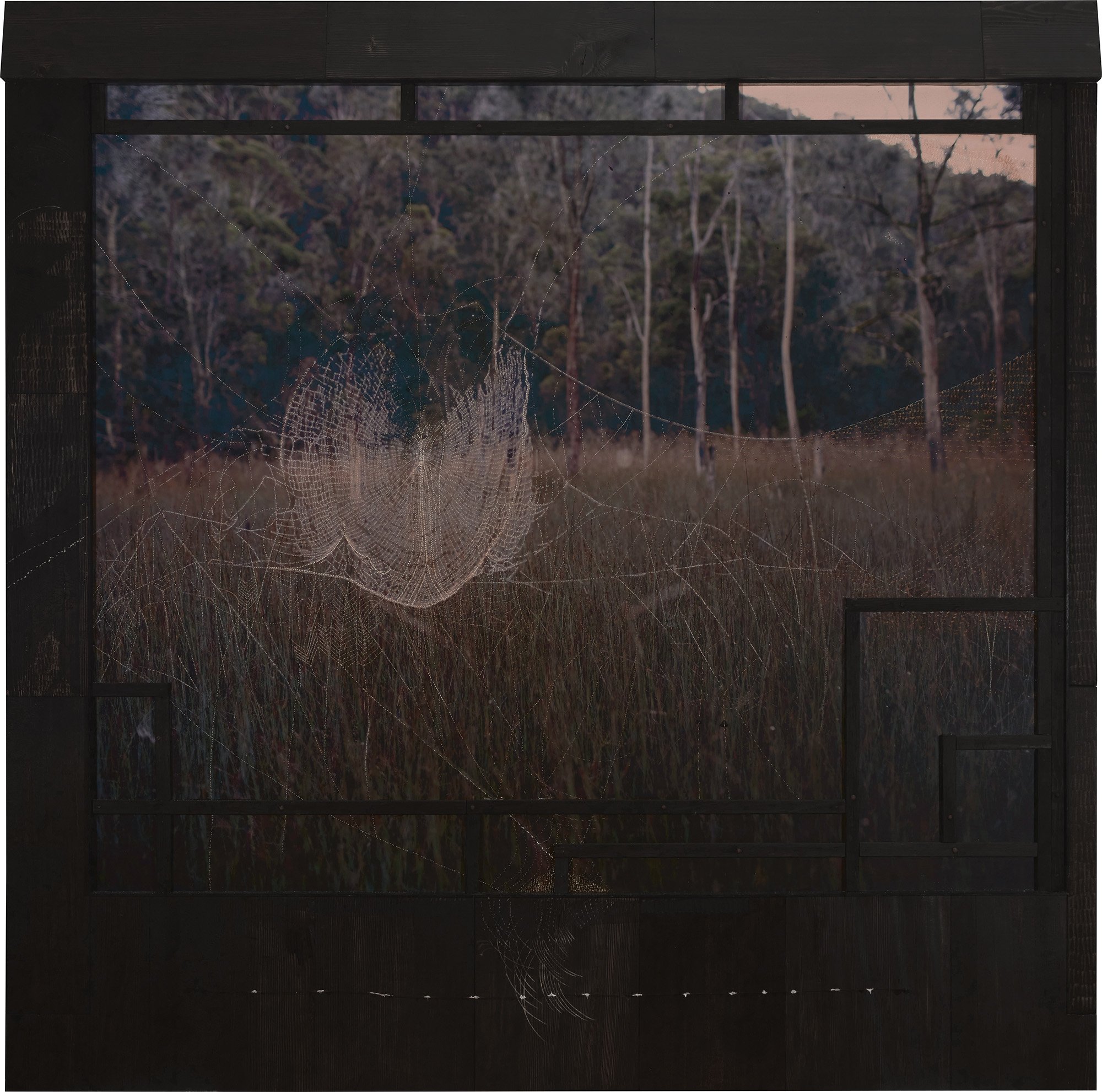 KYOTO STUDIO WITH SPIDER WEB