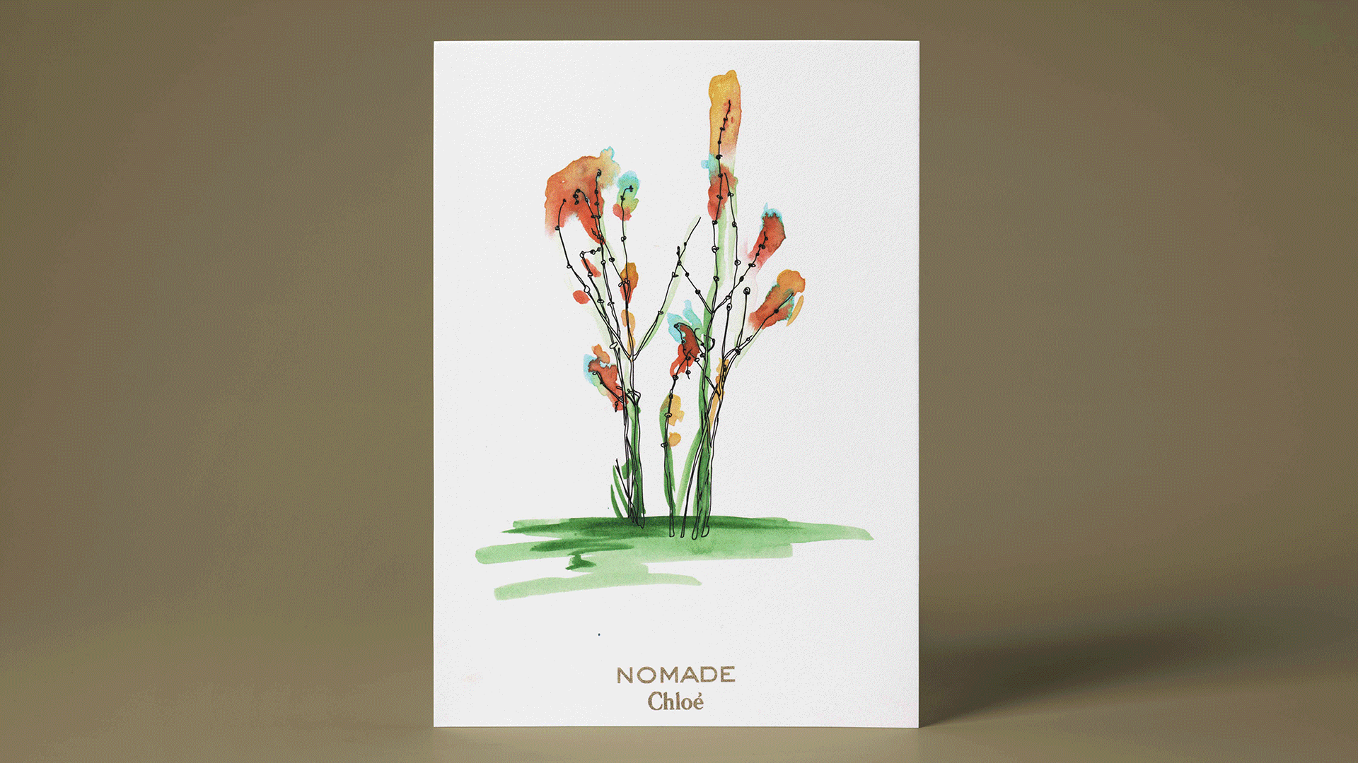 CHLOE_Illustrations.gif