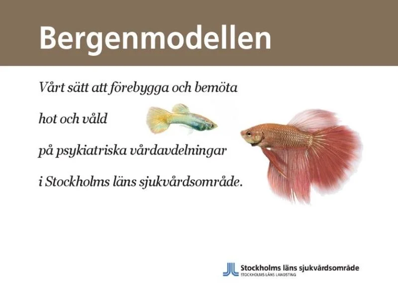 Seminarium med Bergenmodellens kursledare