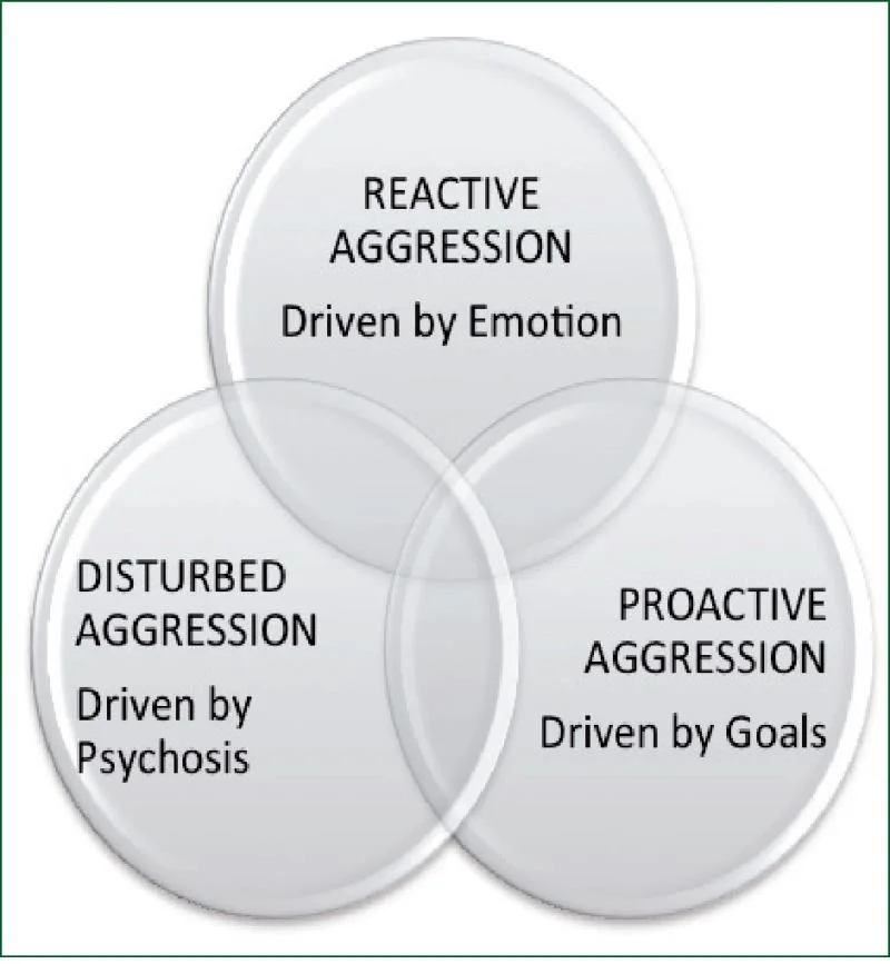 Vilka modeller hjälper oss i hotfulla situationer?