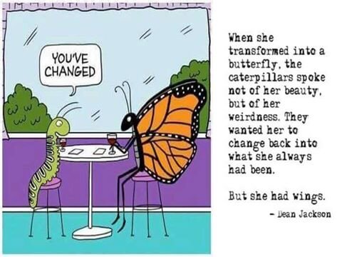 caterpillar to butterfly cartoon