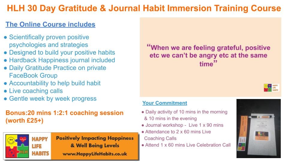 Gratitude & Journal Course Overview.jpg