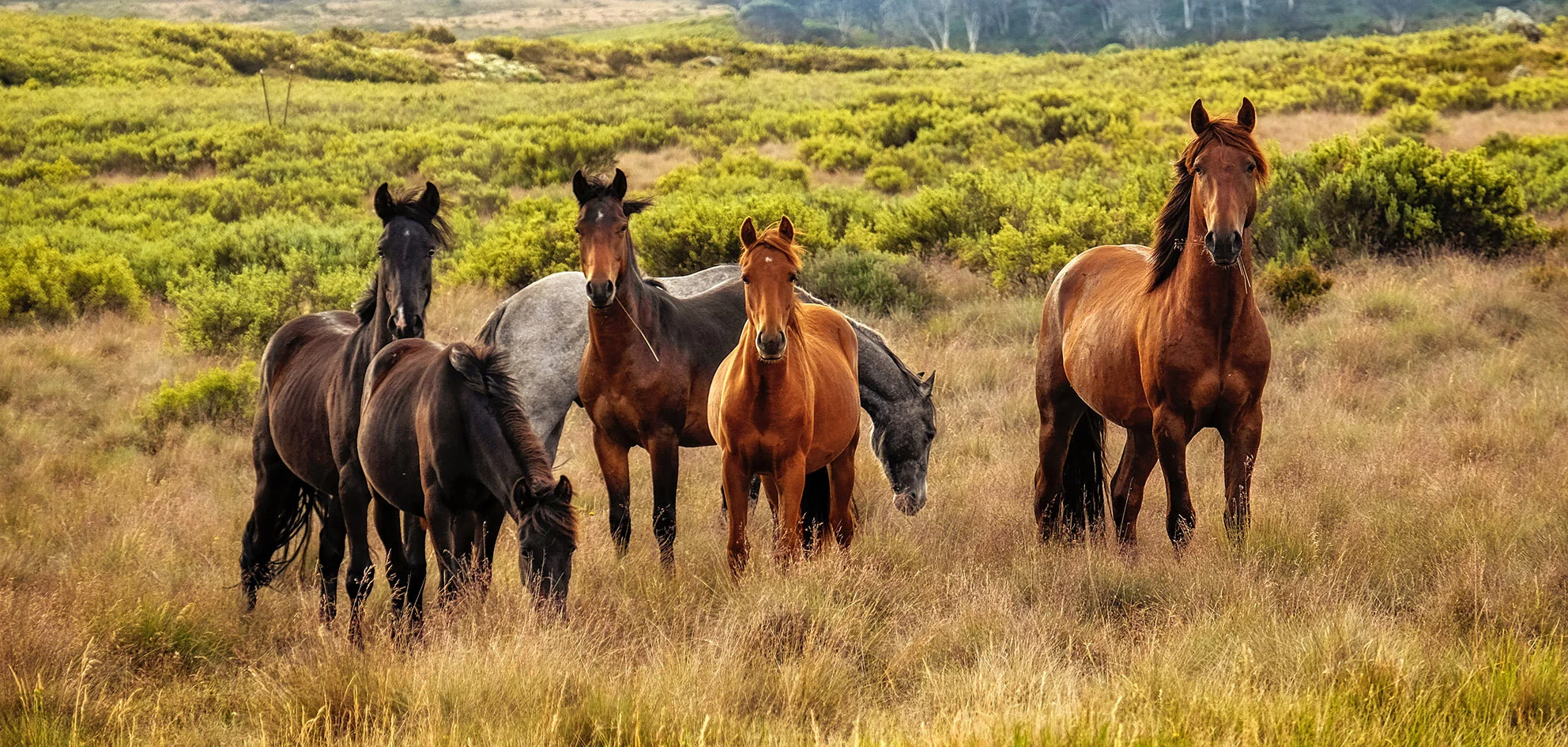 Journée "Je veux trouver ma place"