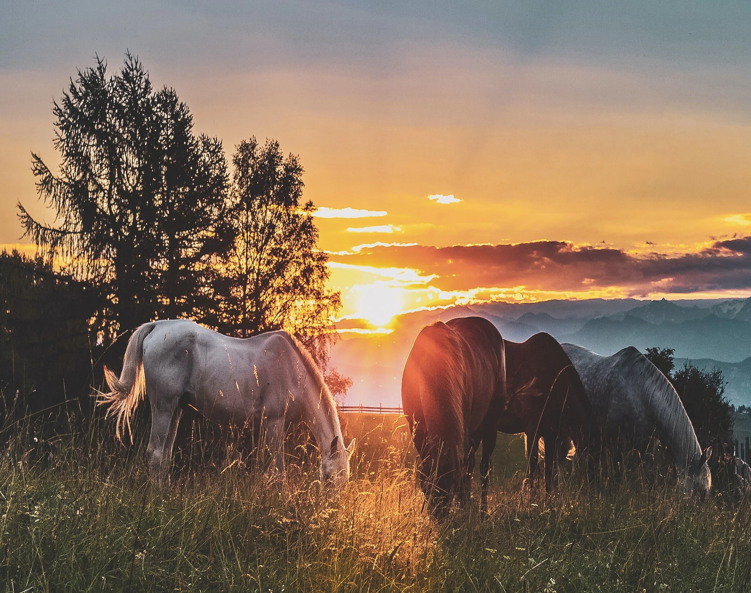 Journée "Je veux trouver ma place"