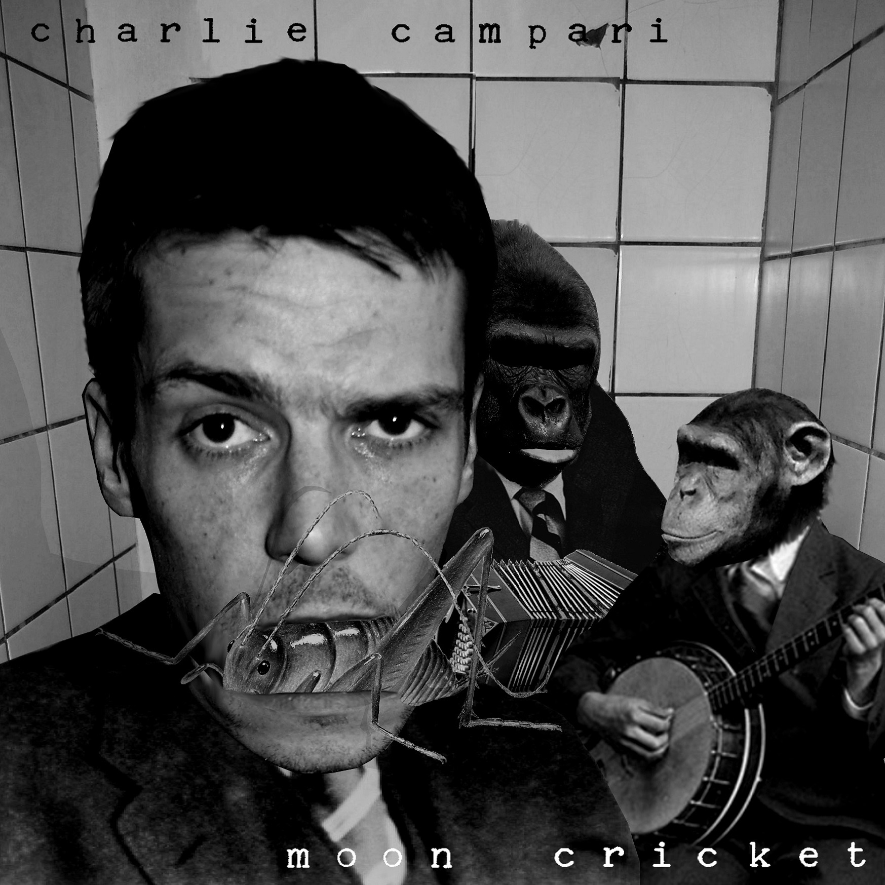 Vinyl - EP - Moon Cricket - Charlie Campari